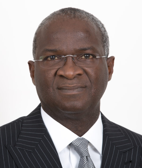 OFFICIAL PORTRAIT OF THE HONOURABLE MINISTER OF POWER, WORKS & HOUSING