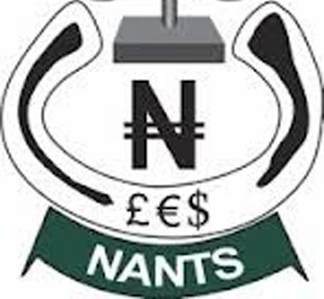 National-Association-of-Nigerian-Traders-NANTS