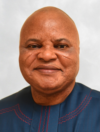 Sen. Ifeanyi Araraume