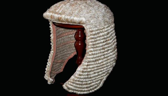 judge-wig
