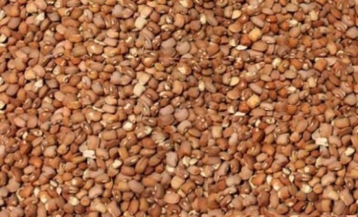 Common-beans-in-Nigeria