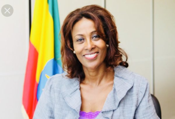 Meaza-Ashenafi-Ethiopias-Supreme-Court-President–e1541109041191