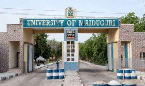 University-of-Maiduguri-UNIMAID-main-gate