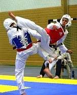 teakwondo