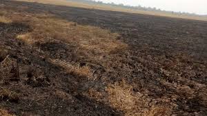 samuel ortom’s burnt rice farm