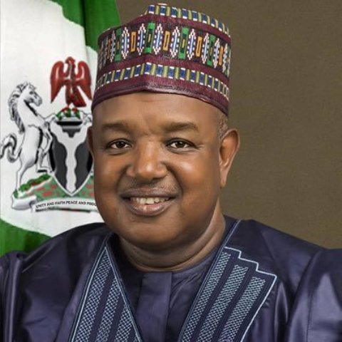 Bagudu