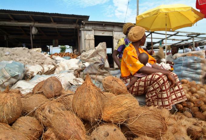 coconut-market