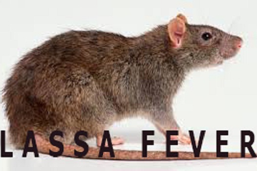 lassa-fever-1