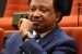 Shehu Sani claims Nigerian leaders in power behave like gods