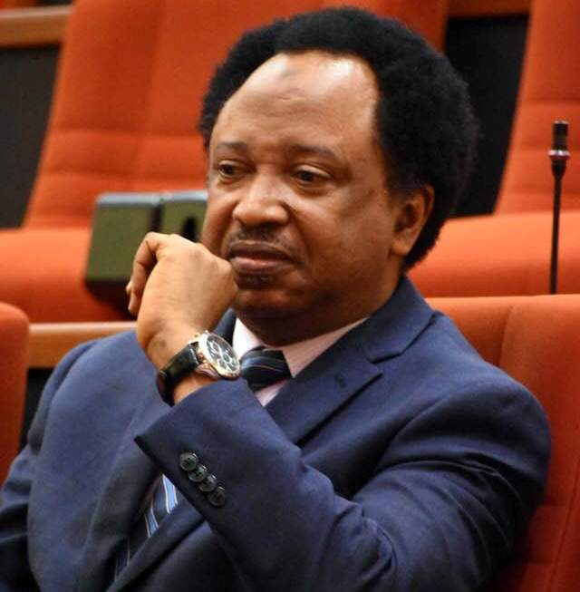 Senator Shehu Sani: calls for the rescue of the remaining Greenfield students.