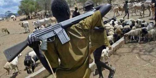 Police dismiss viral Ikorodu arms arrest video