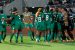 Super Falcons