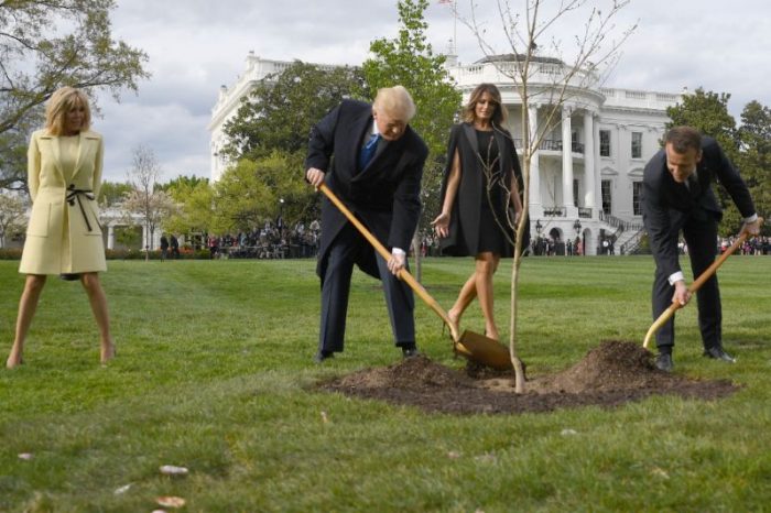 Trump and Macron plant an oak tree that failed to survive