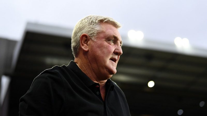 Steve Bruce new coach of Newcastle United