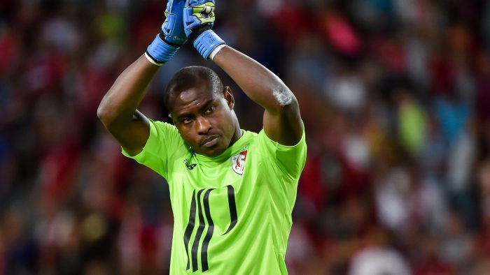 vincent-enyeama-of-lille_ubzijbe7fbv61t6jrdm9uqc3i