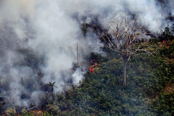 Fire on a land in the Amazon, 65kms from Porto Velho Brazil
