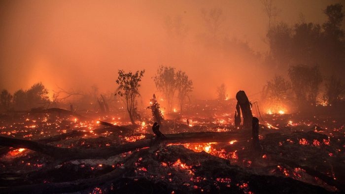 Forest fires in Indonesia2