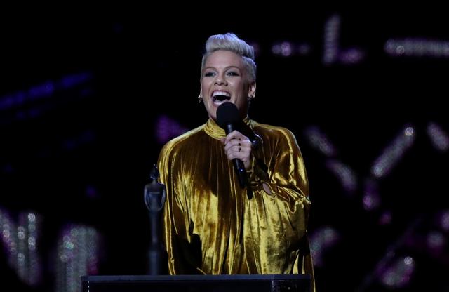 Pink: plane crash lands in Denmark