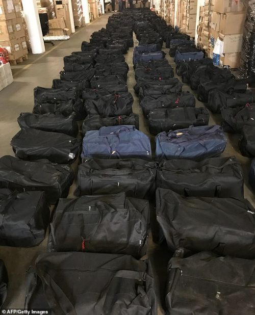 The cocaine kept in sports bags inside a container