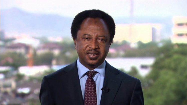 Why terrorists, banditry activities reduced in Northwest - Shehu SanI ...