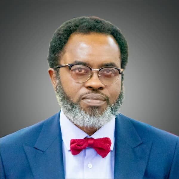 Moyo Onigbanjo, Lagos AG