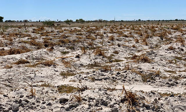 Namibia faces drought