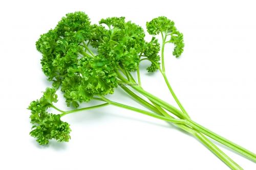 Parsley leaves