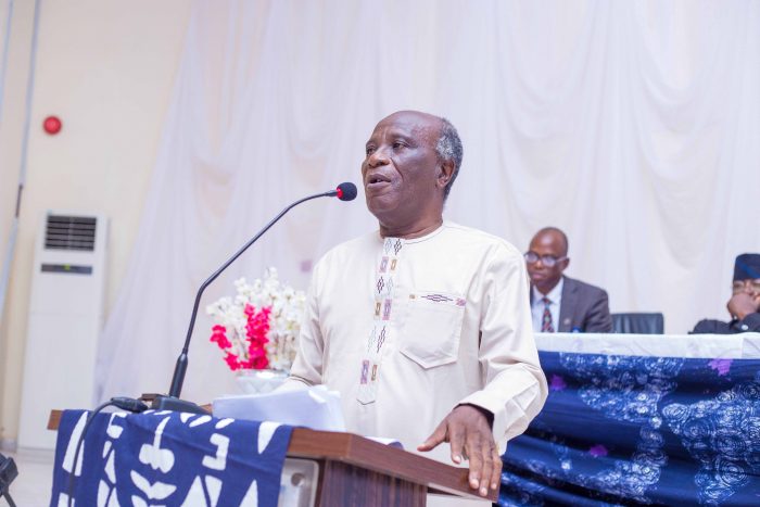 Professor Adebayo Lamikanra while lecturing at the valedictory programme to mark his retirement and 70th birthday