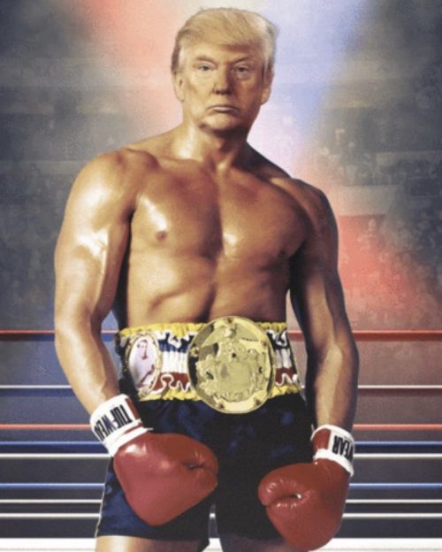 Donald Trump in boxer’s trunk and gloves, self-publihsed