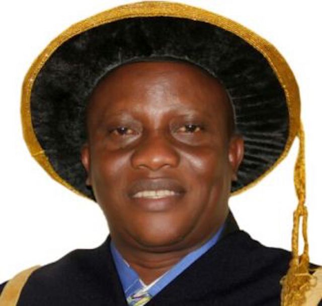 Professor-Ozo-Mekuri-Ndimele-Ignatius-Ajuru-University-of-Education-phmundial