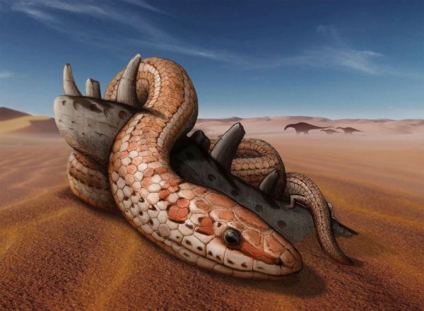 The Biblical snake Najash rionegrina