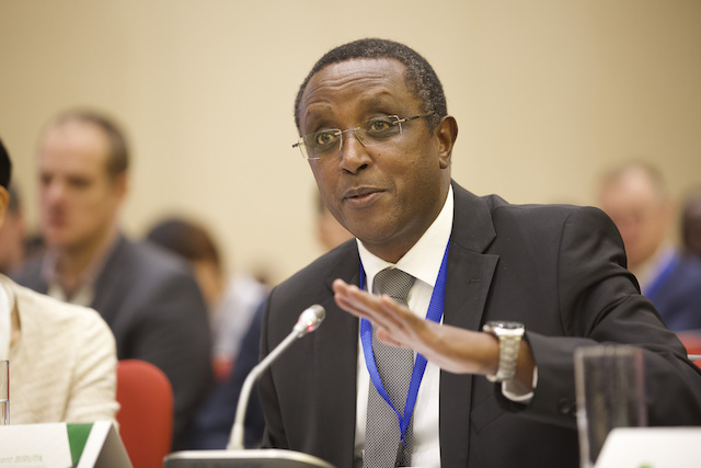 Vincent Biruta Rwanda’s new foreign minister
