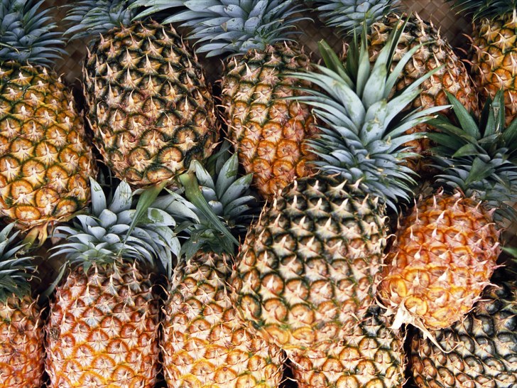 Pineapple farming
