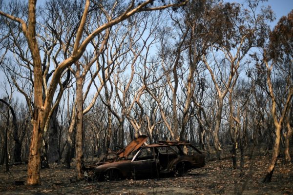 Forest fires near Sydney now under control