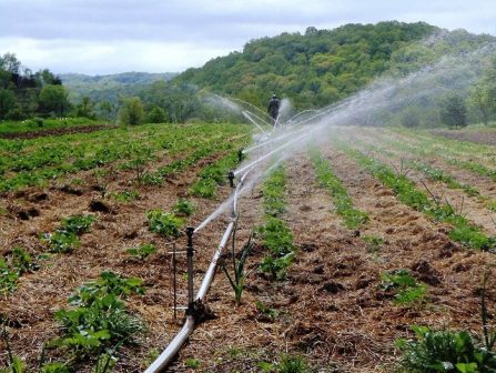 FG hands over 228 hectares Gari Irrigation project to Jigawa, Kano ...