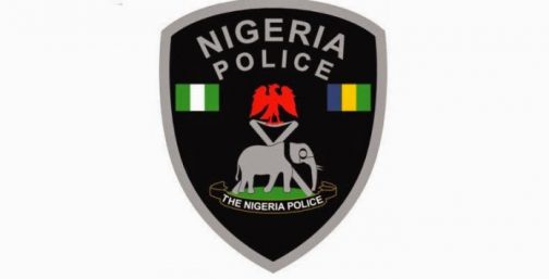 Nigerian Police logo