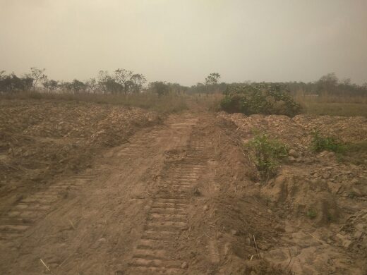 destroyed farmland