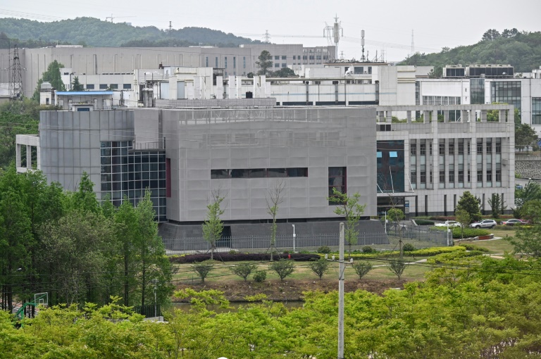 The maximum security Wuhan lab