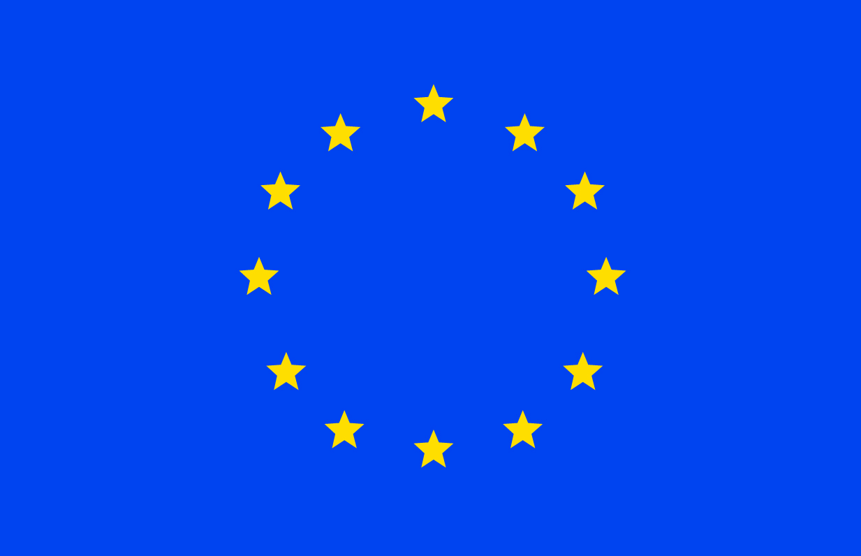 EU flag logo