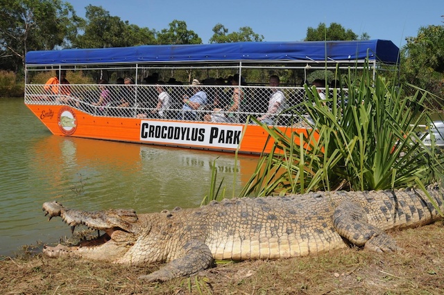 Crocodylus Park Darwin where the baby crocodiles were stolen