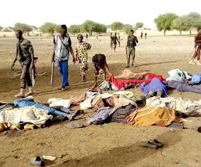 Some of the victims of Boko Haram massacre in Gubio village
