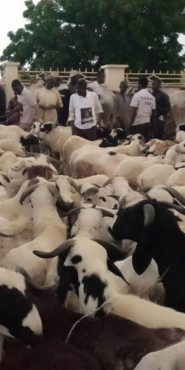Zamfara distribute cows