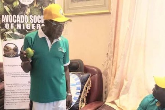 Obasanjo: says Nigeria to become Africa’s leading avocado producer in 10 years