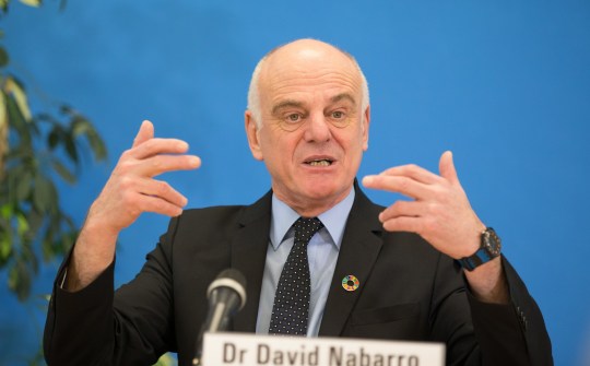 David Nabarro