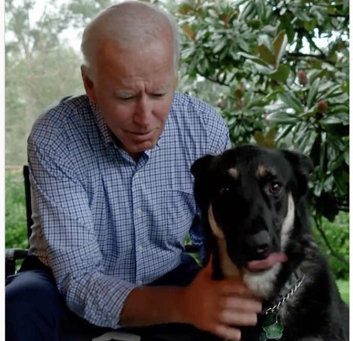 Joe Biden: twists ankle playing with his dog Major