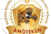 Amotekun logo