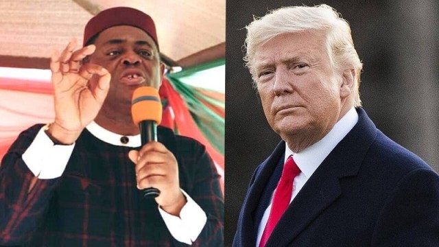 Fani-Kayode and Trump