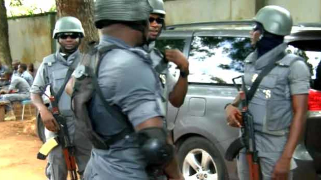 Joint border patrol at Nigeria’s border points