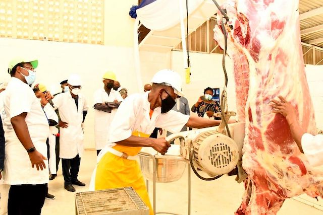 Producing meat at Lion Unisco Mechanized Abattoir, Ilaje, Bariga,