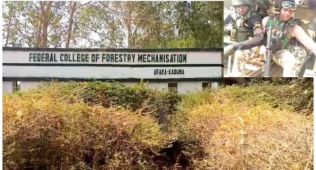 THE Federal College of Forestry, attacked Thursday night
